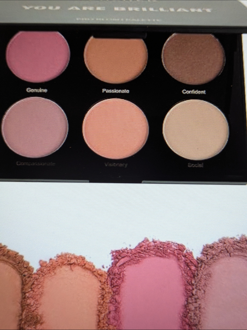 Realher You Are Brilliant Pro Blush Palette With 2 Brushes
